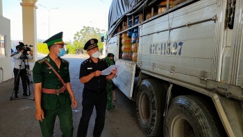 an giang tang cuong kiem soat ngan chan benh cum gia cam