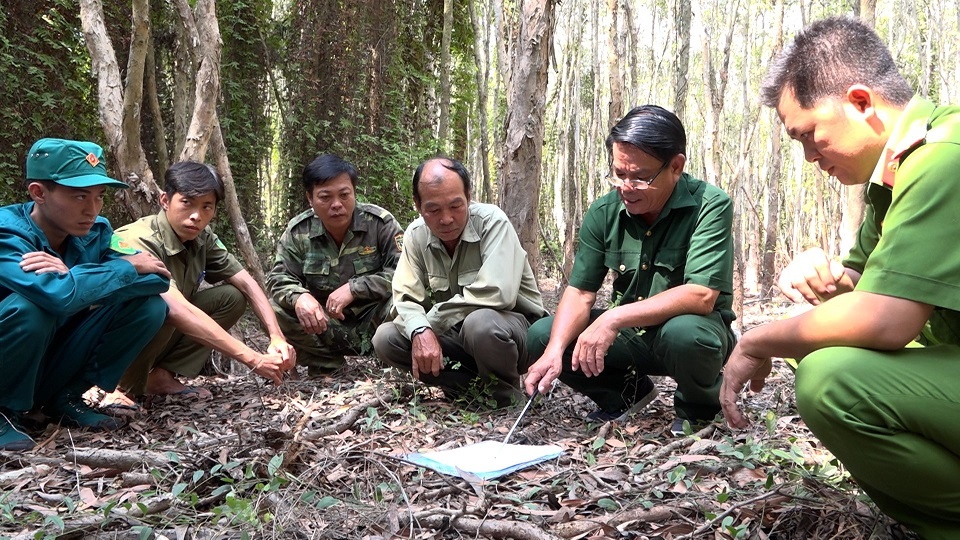 Lực lượng vũ trang An Giang chủ động phòng, chống cháy rừng Lực lượng vũ trang An Giang chủ động phòng, chống cháy rừng