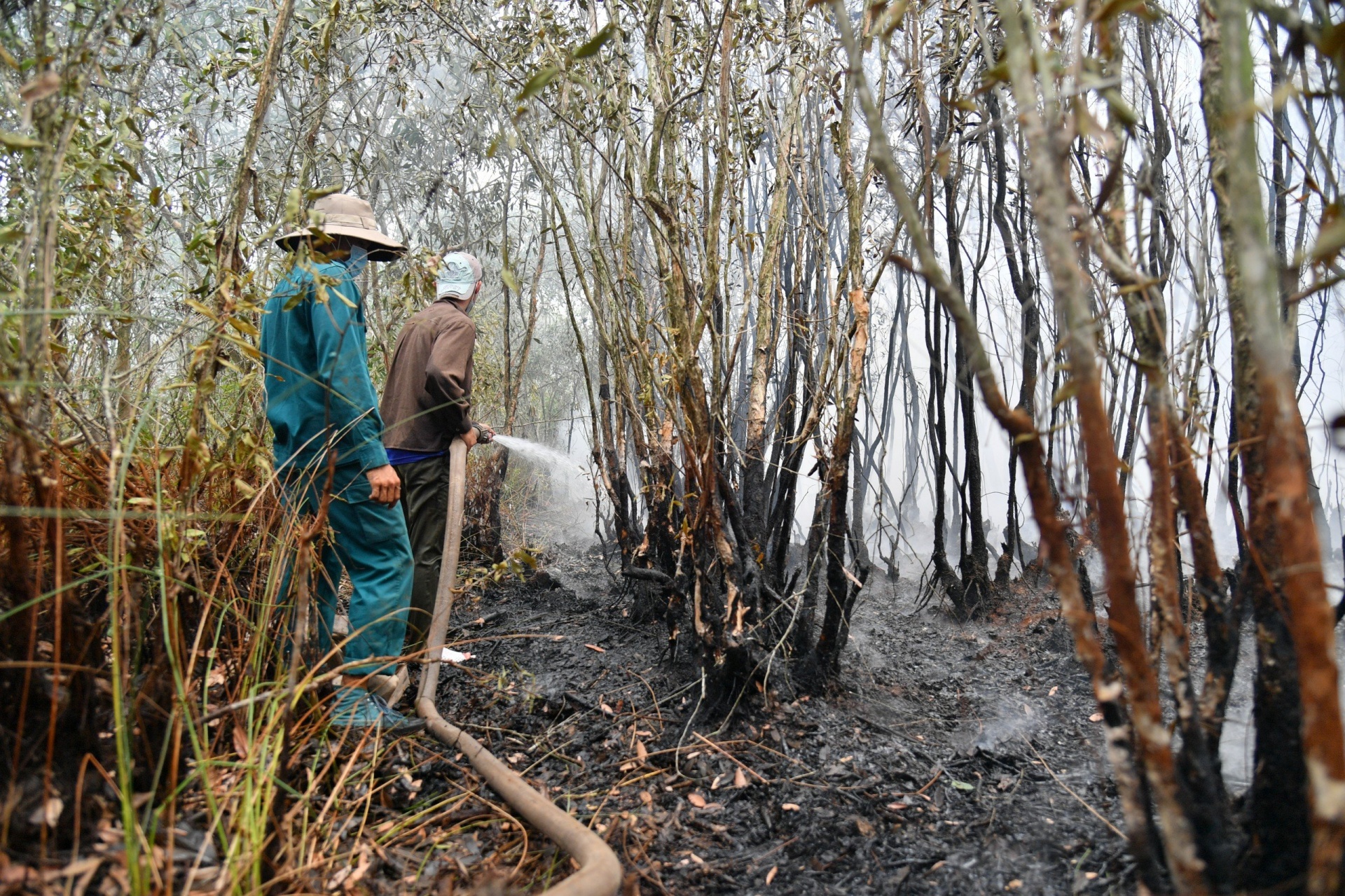 Kịp thời dập tắt liên tiếp 2 đám cháy rừng tại Kiên Giang