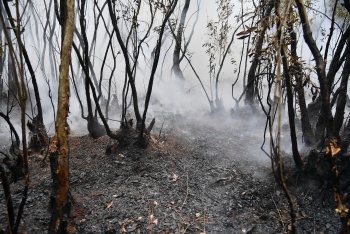 kip thoi dap tat lien tiep 2 dam chay rung tai kien giang