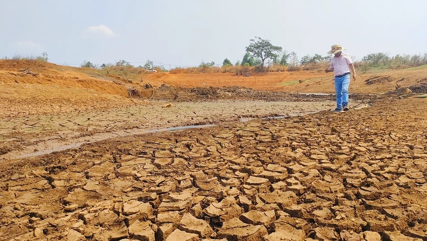 undefined Nắng nóng kéo dài khiến nhiều lòng hồ ở Gia Lai cạn trơ đáy.