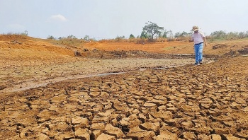 tay nguyen no luc doi pho voi kho khan trong mua han han