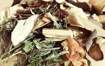 suy gan do uong thuoc nam khong ro nguon goc