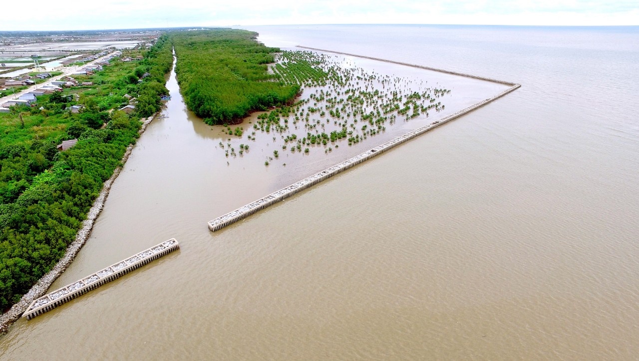 Cà Mau nỗ lực giữ rừng ven biển
