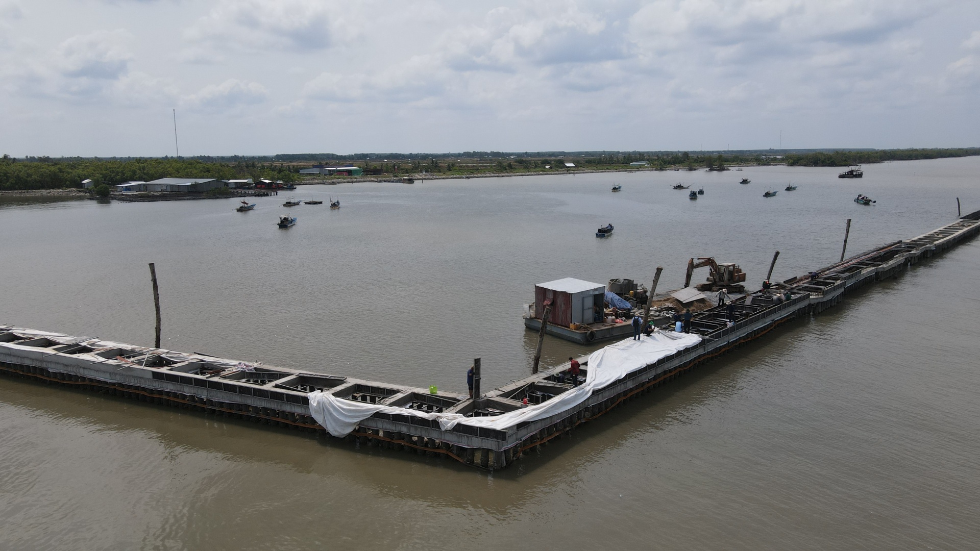 Cà Mau nỗ lực giữ rừng ven biển