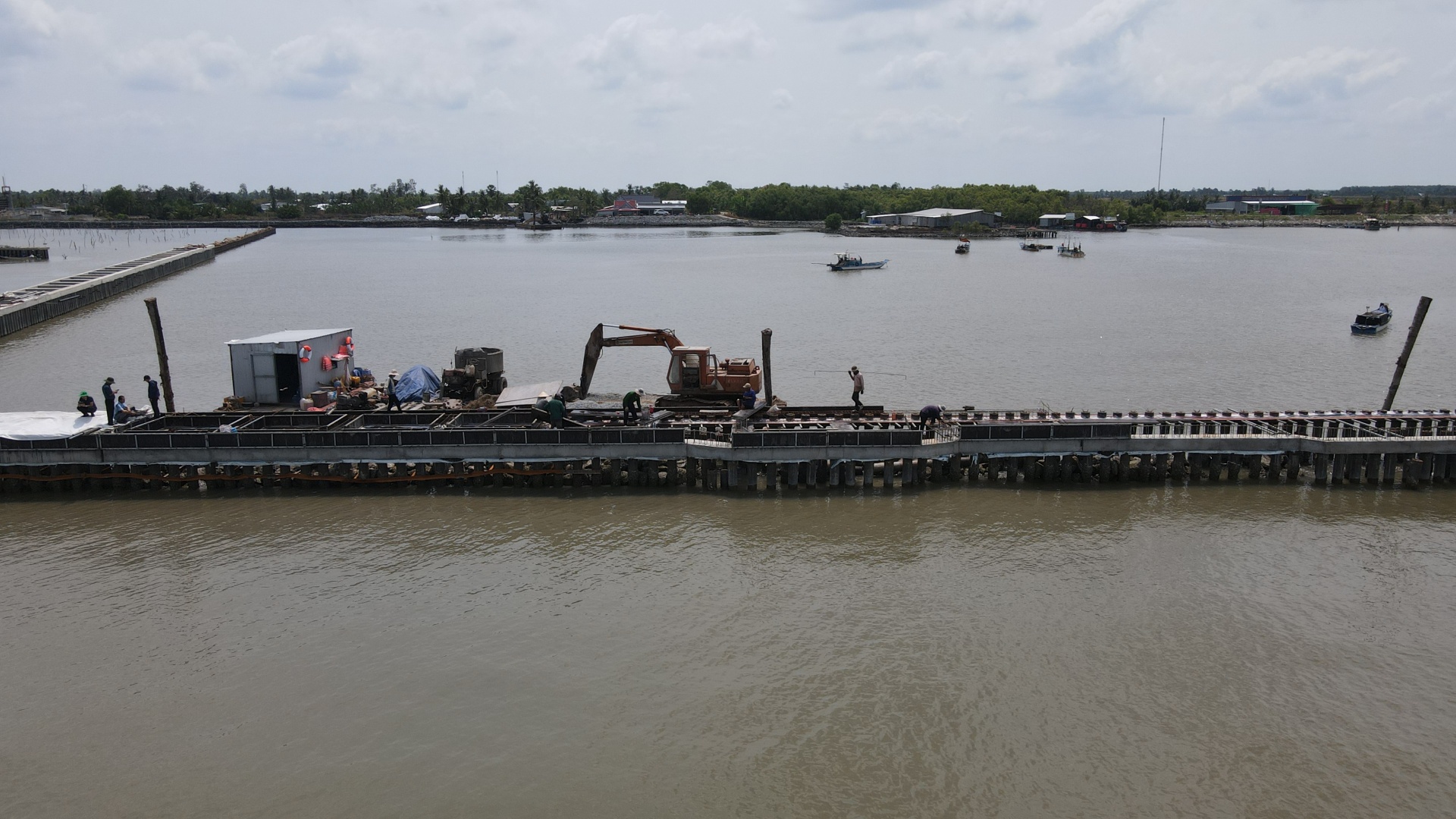 Cà Mau nỗ lực giữ rừng ven biển