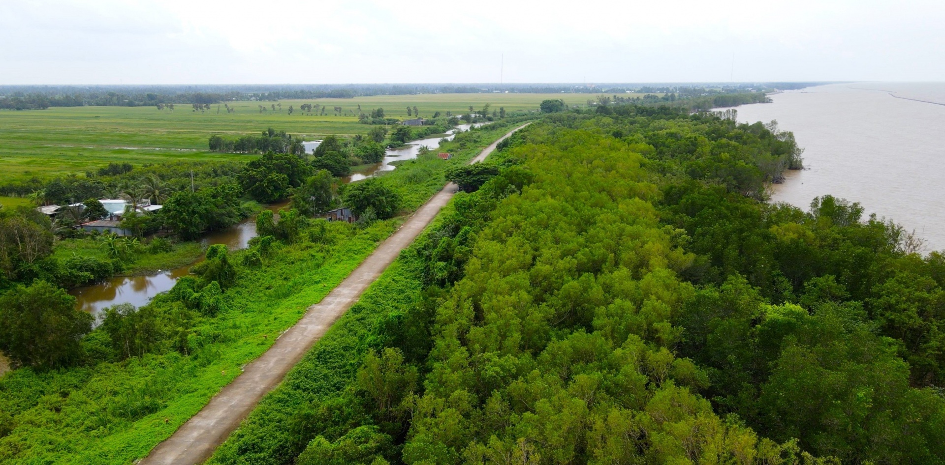 Cà Mau nỗ lực giữ rừng ven biển