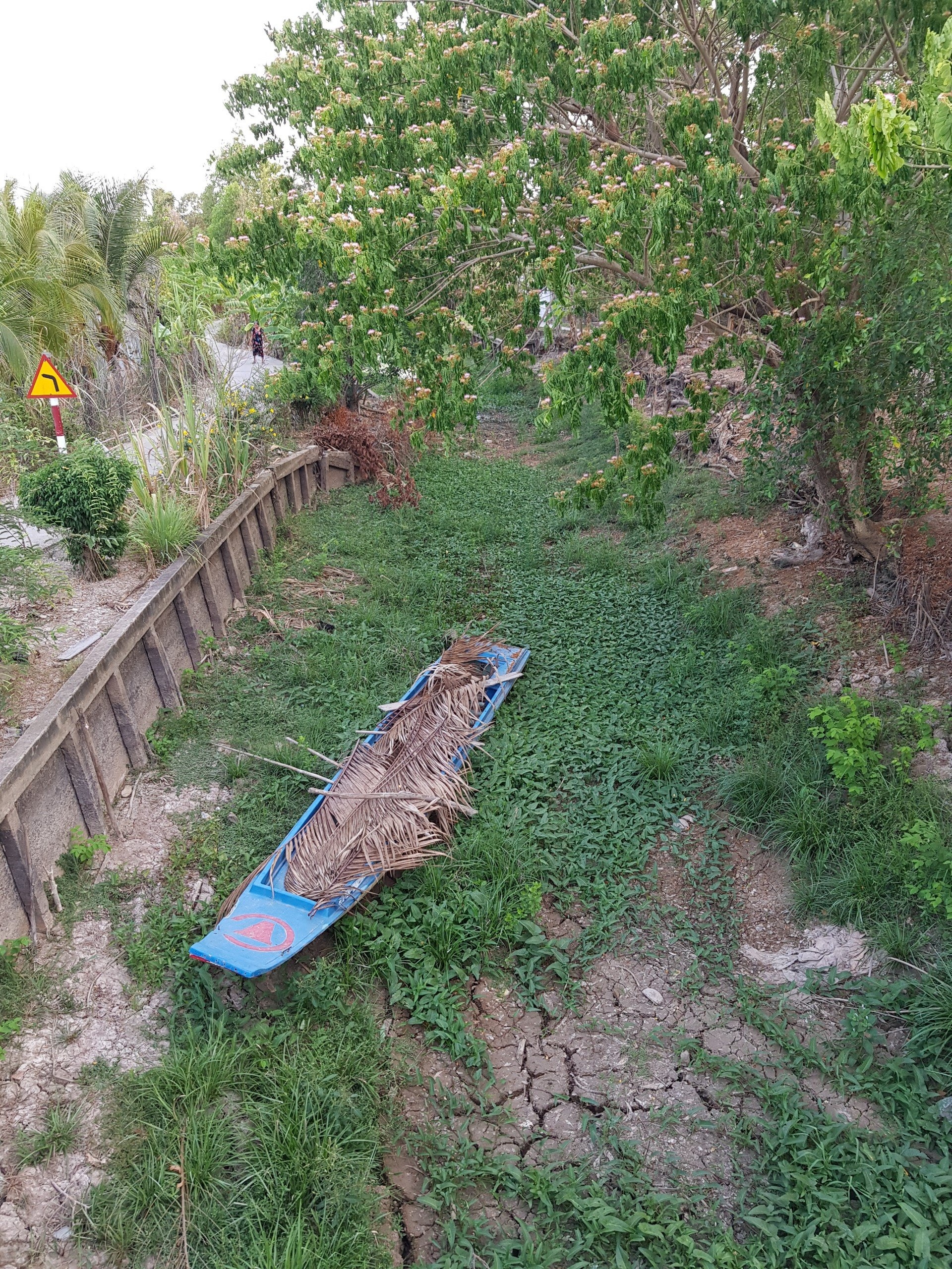 Đồng bằng Sông Cửu Long chủ động, thích ứng với hạn mặn, sụt lún, thiếu nước ngọt Đồng bằng Sông Cửu Long chủ động, thích ứng với hạn mặn, sụt lún, thiếu nước ngọt