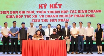 lang son hoi nghi gap mat ket noi tieu thu san pham hop tac xa nam 2024 tang cuong ho tro hop tac xa trong chuyen doi so tieu thu san pham