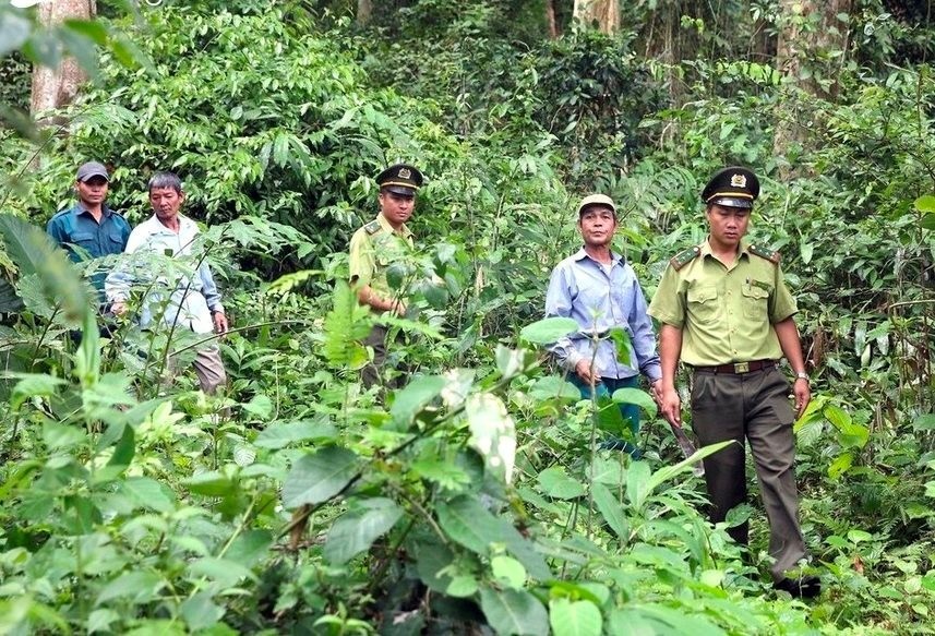 Chi cục Kiểm lâm phối hợp với người dân đi tuần tra, kiểm tra rừng Chi cục Kiểm lâm phối hợp với người dân đi tuần tra, kiểm tra rừng