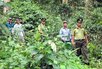 nguoi dan nghe an duoc huong loi tu chinh sach chi tra dich vu moi truong rung
