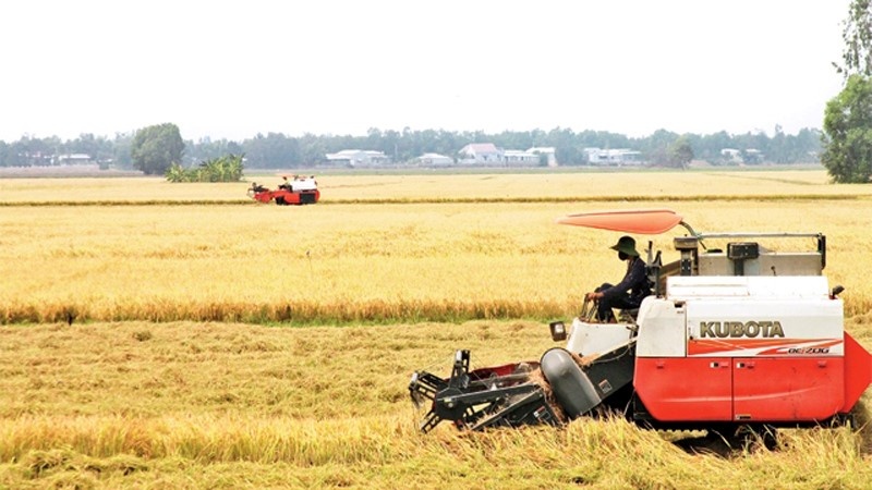 Các phương pháp quản lý nông nghiệp tiên tiến góp phần giảm chi phí sản xuất, giảm phát thải khí mê-tan, hạn chế tác động đến môi trường.