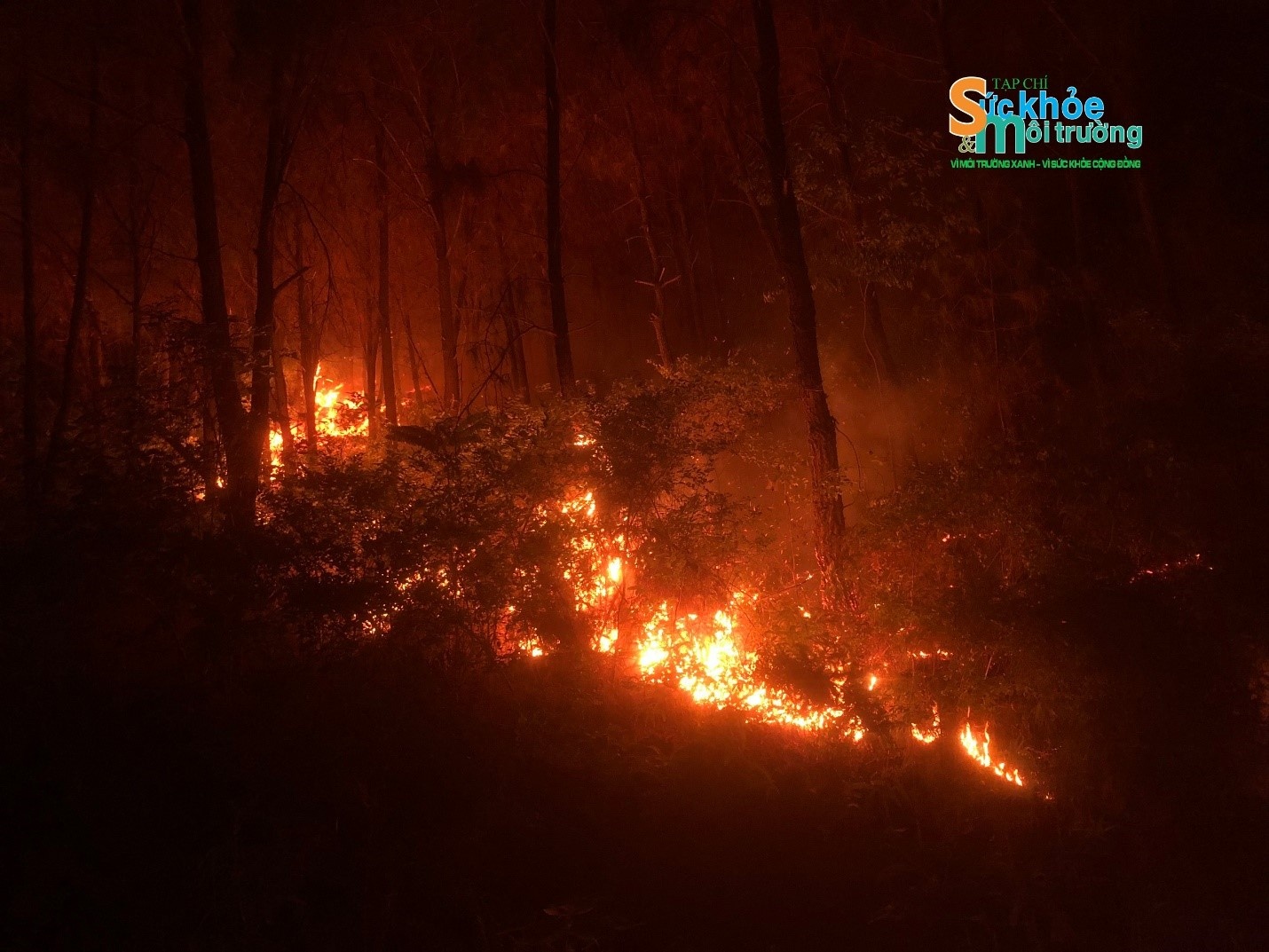 2 giờ 30 sáng 1/5 ghi nhận tại hiện trường 2 giờ 30 sáng 1/5 ghi nhận tại hiện trường