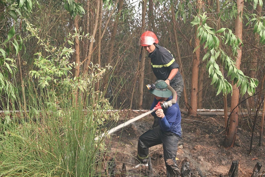 Đã dập tắt cháy rừng ở Kiên Giang