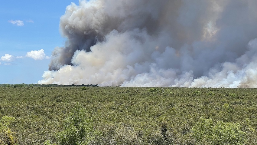 Đã dập tắt cháy rừng ở Kiên Giang