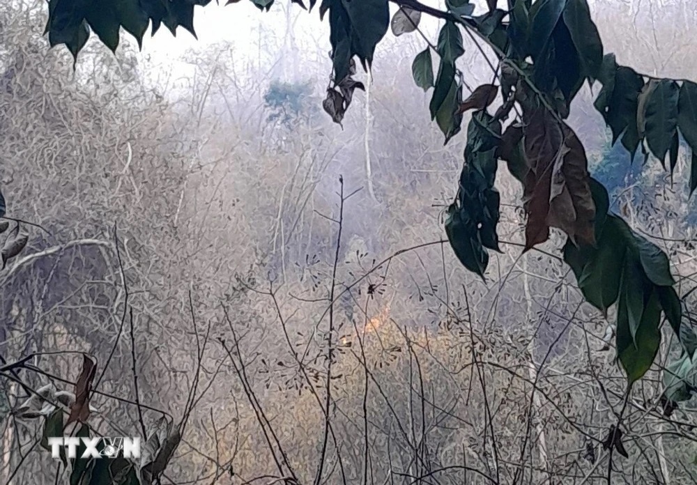 Ninh Thuận huy động lực lượng chữa cháy rừng trong đêm. Ảnh: Vietnam+ (VietnamPlus) Ninh Thuận huy động lực lượng chữa cháy rừng trong đêm. Ảnh: Vietnam+ (VietnamPlus)