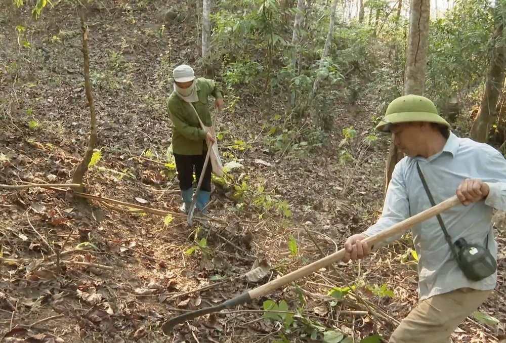 Tiền Giang tích cực phòng, chống cháy rừng