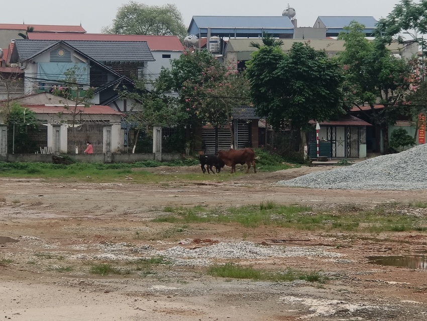 Trung tâm văn hóa thể thao xã Quất Lưu (Bình Xuyên, Vĩnh Phúc) thi công gần 6 năm vẫn chưa hoàn thành, gây ô nhiễm môi trường Trung tâm văn hóa thể thao xã Quất Lưu (Bình Xuyên, Vĩnh Phúc) thi công gần 6 năm vẫn chưa hoàn thành, gây ô nhiễm môi trường