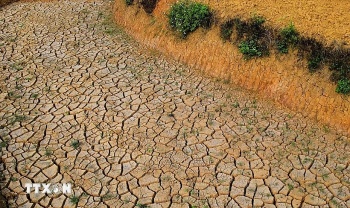 yen bai tinh trang kho han dang dien ra gay gat tai vung cao