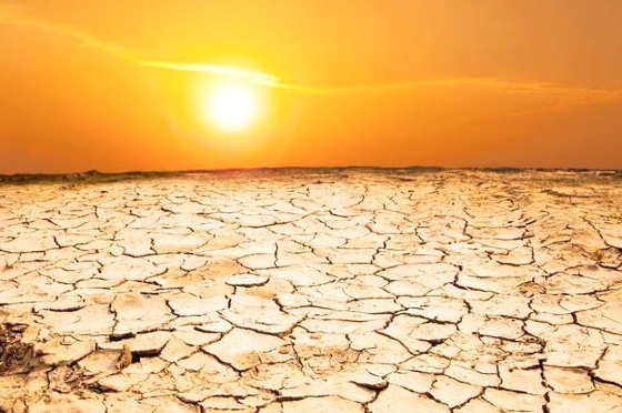 Hưởng ứng Ngày Môi trường thế giới 5-6  và Tháng hành động vì môi trường