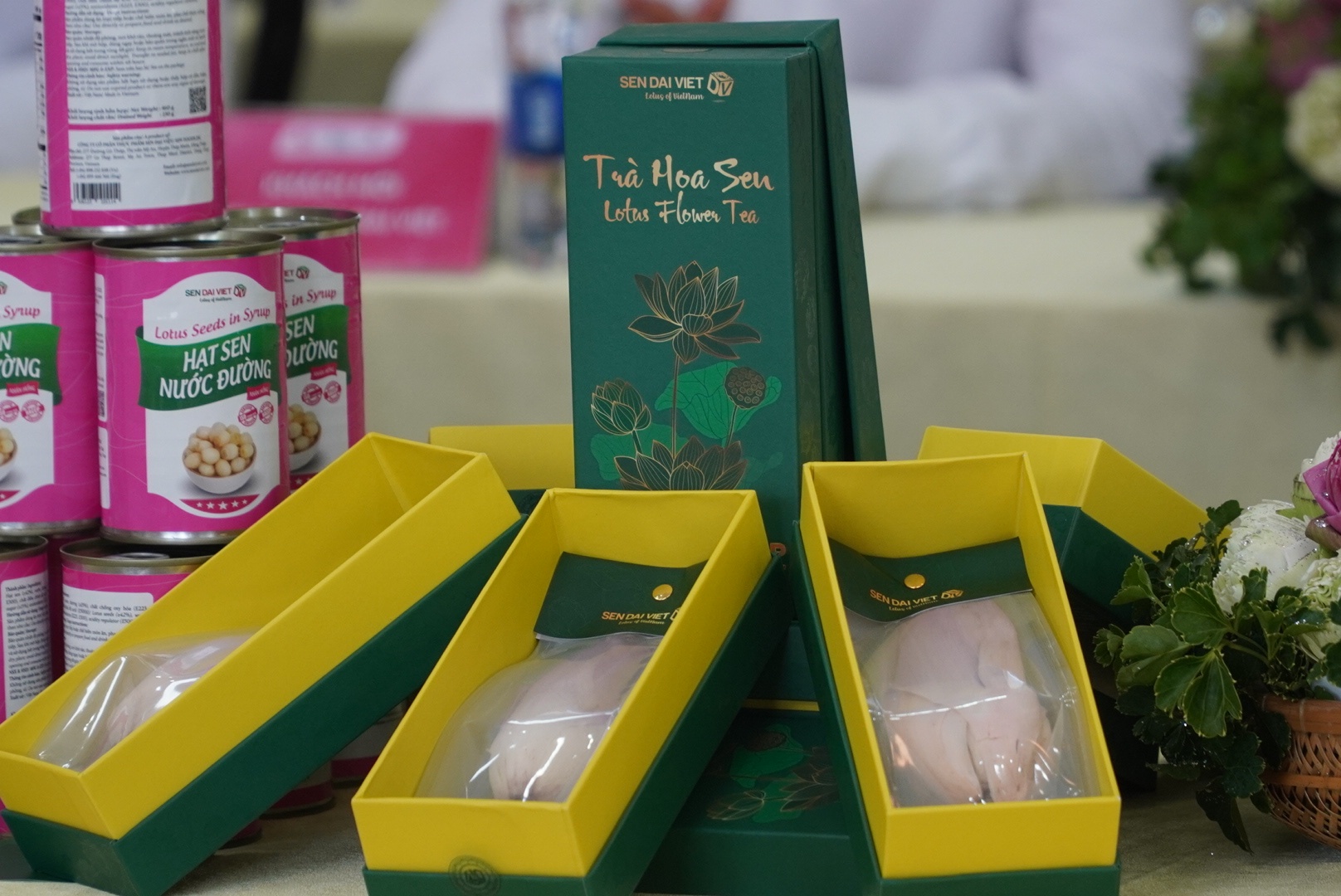 Đồng Tháp khai mạc Lễ hội Sen lần thứ II