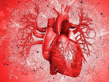 chau au 10000 nguoi tu vong moi ngay do benh tim mach