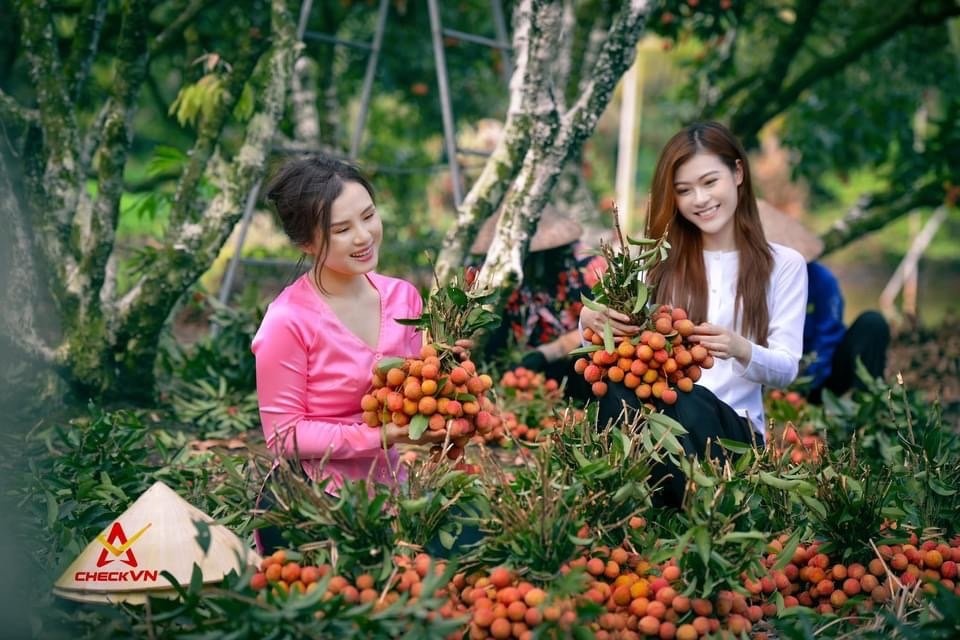 CheckVN đồng hành bảo vệ thương hiệu vải thiểu Thanh Hà