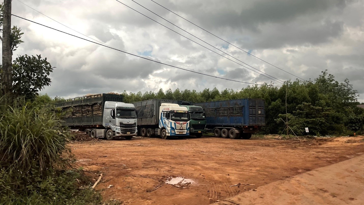 Quảng Trị: Trạm cân thu mua keo không phép vẫn ngang nhiên hoạt động