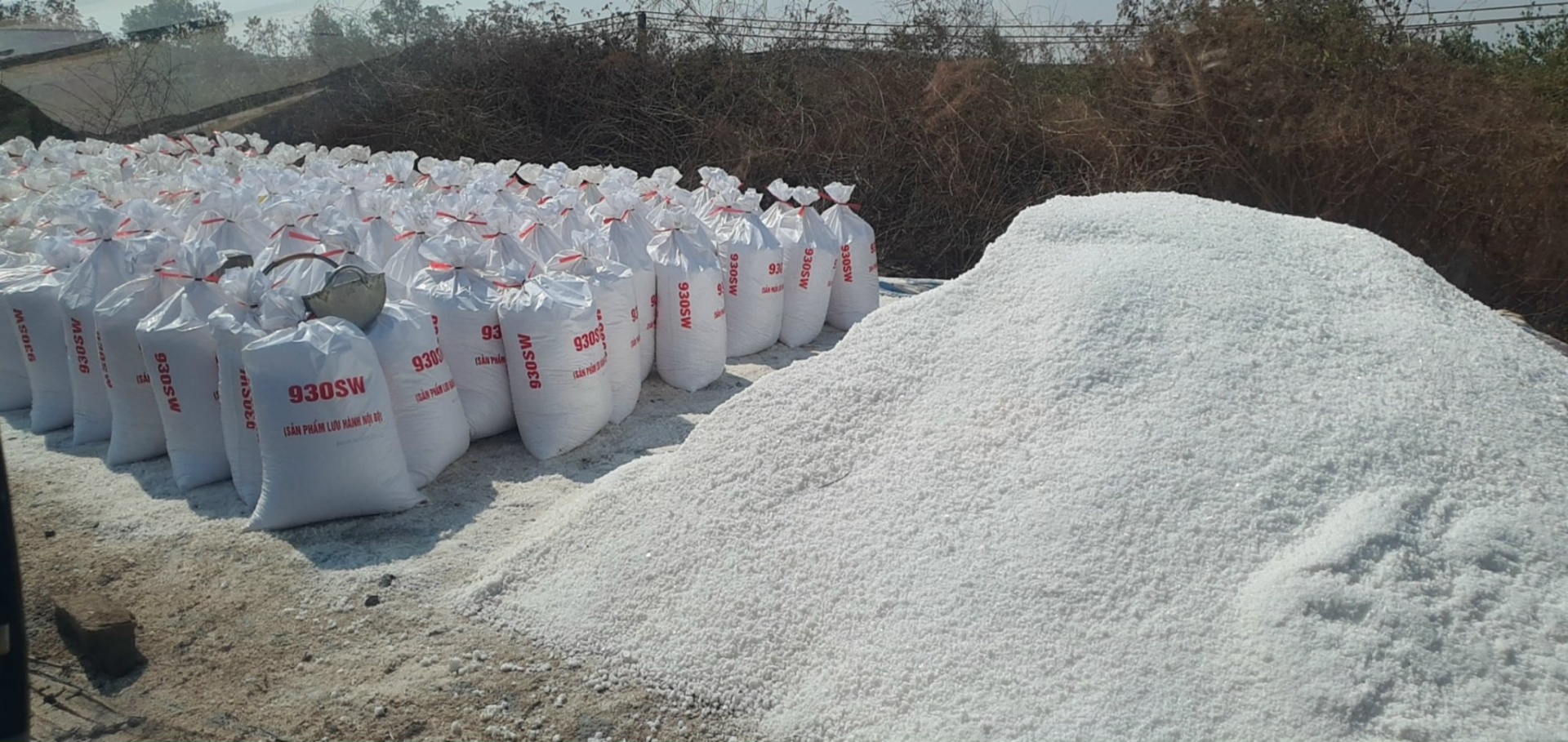 Nâng tầm giá trị hạt muối Bạc Liêu Nâng tầm giá trị hạt muối Bạc Liêu