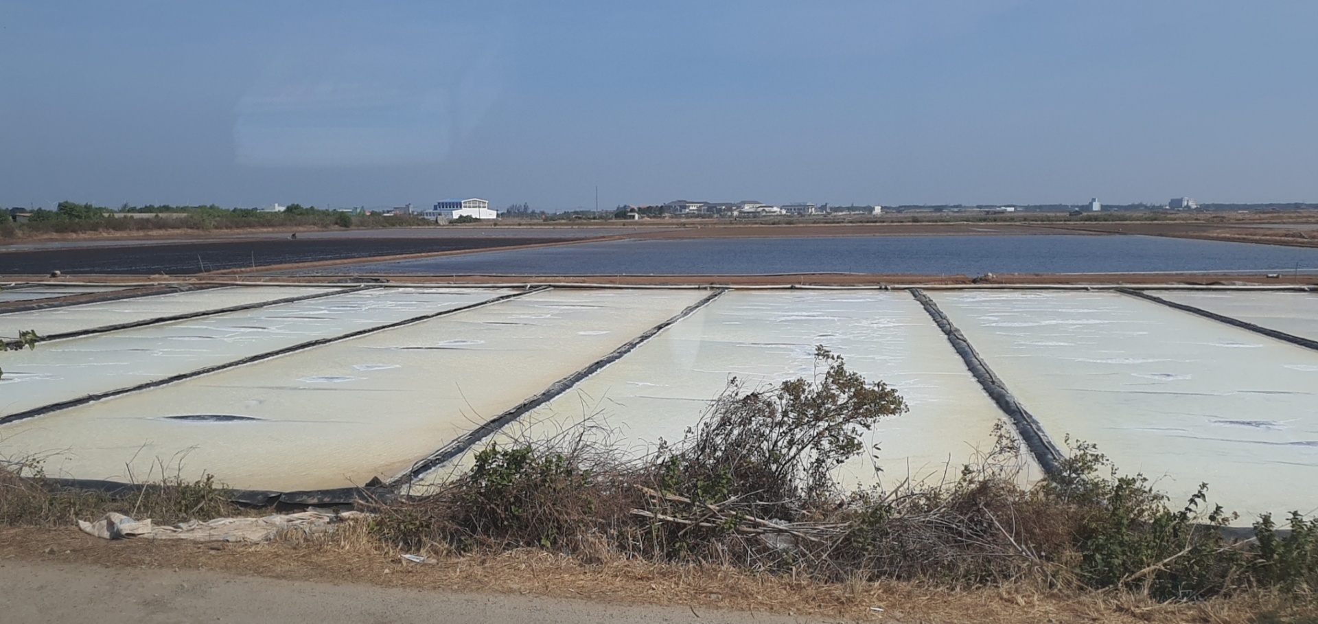 Nâng tầm giá trị hạt muối Bạc Liêu Nâng tầm giá trị hạt muối Bạc Liêu