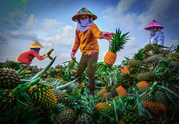 khom cau duc ngot lim tinh doi