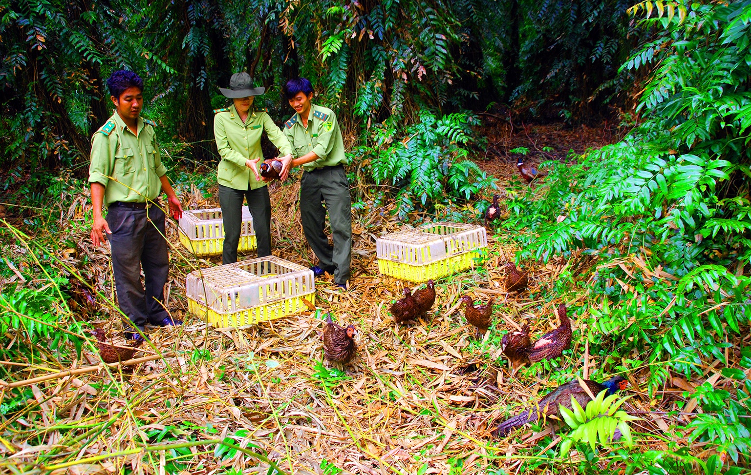 Có một “Lung Trời” giữa miền Tây Có một “Lung Trời” giữa miền Tây