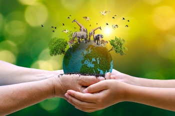 chung tay bao ton dong vat hoang da