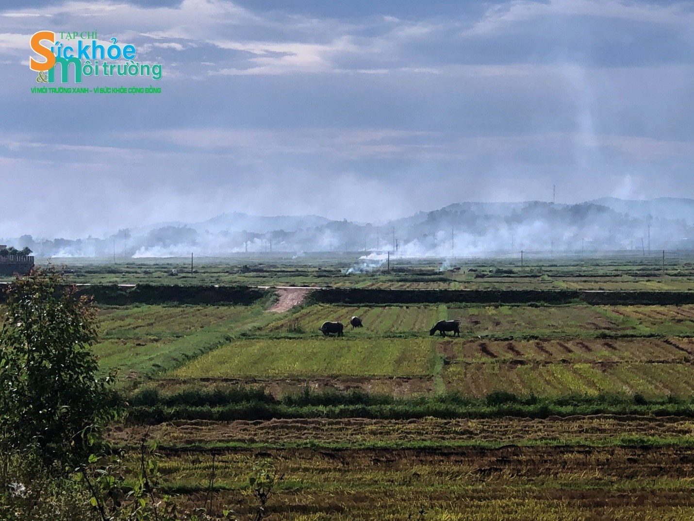 Đốt sinh khối – đốt phu phẩm sau thu hoạch, đang là biện pháp phổ biến hiện nay Đốt sinh khối – đốt phu phẩm sau thu hoạch, đang là biện pháp phổ biến hiện nay