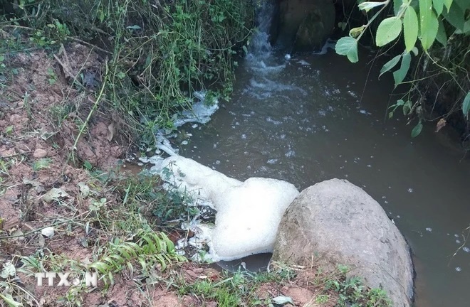 Nguồn nước xả của Nhà máy ra môi trường sủi bọt, mùi hôi thối nồng nặc chảy xuống bản Phiêng Chá. (Ảnh: TTXVN)