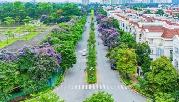 mua he tai ciputra ha noi nhu mot buc tranh cua sac mau