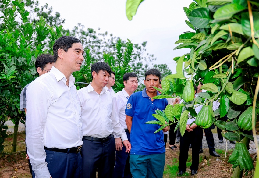 Xu thế phát triển xanh ở Vĩnh Phúc đang hiện hình ngày càng rõ nét