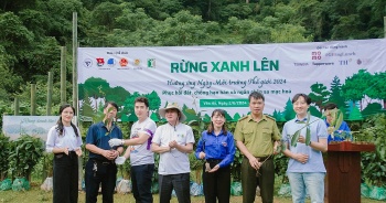 chuong trinh rung xanh len voi muc tieu trong 25ha rung noi hoa binh son la