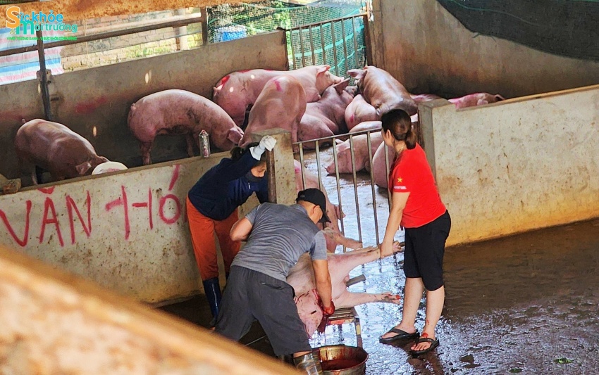 Tân Phú - Quốc Oai: Thiếu kiên quyết trong xử lý vi phạm Tân Phú - Quốc Oai: Thiếu kiên quyết trong xử lý vi phạm