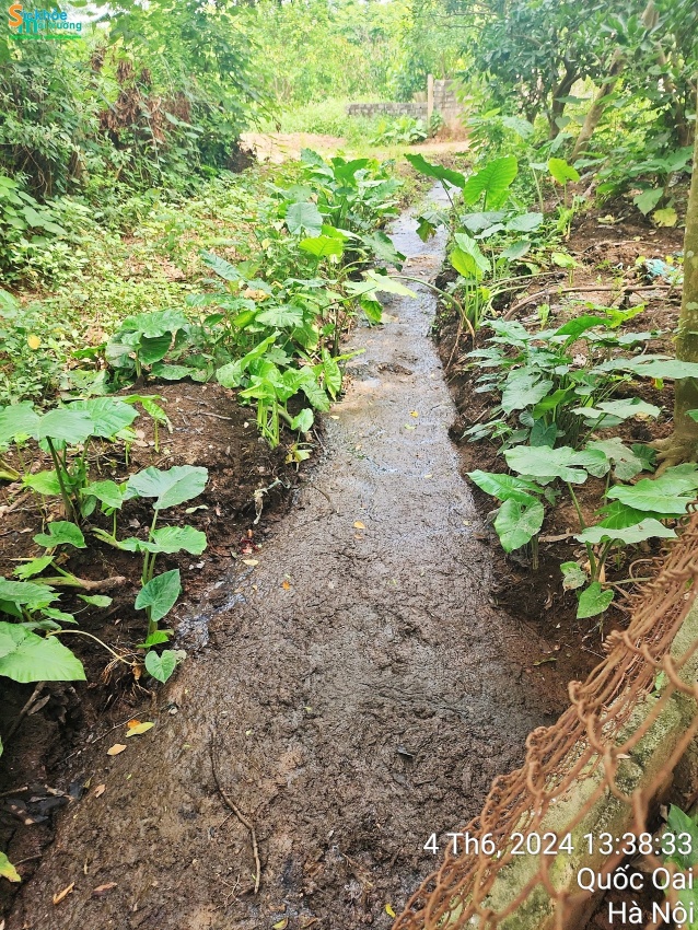 Tân Phú - Quốc Oai: Thiếu kiên quyết trong xử lý vi phạm Tân Phú - Quốc Oai: Thiếu kiên quyết trong xử lý vi phạm