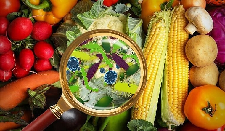 Truy xuất nguồn gốc đến cùng và xử lý nghiêm sai phạm khi xảy ra ngộ độc thực phẩm