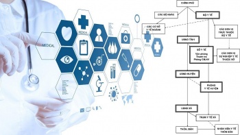 du lieu ve y te phuc vu cong tac quan ly nha nuoc va nhu cau thong tin cua to chuc ca nhan