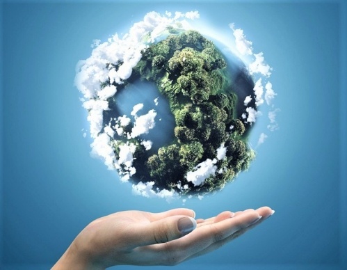 Kế hoạch Quốc gia loại trừ các chất làm suy giảm tầng ozone Kế hoạch Quốc gia loại trừ các chất làm suy giảm tầng ozone