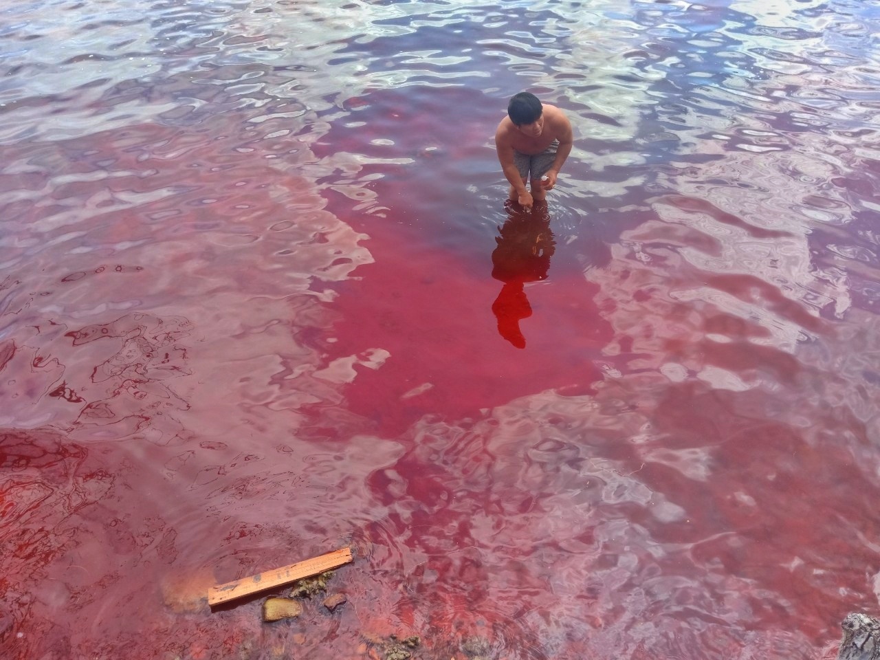 Xuất hiện hiện tượng giống thủy triều đỏ tại vùng biển Thổ Châu (Kiên Giang)