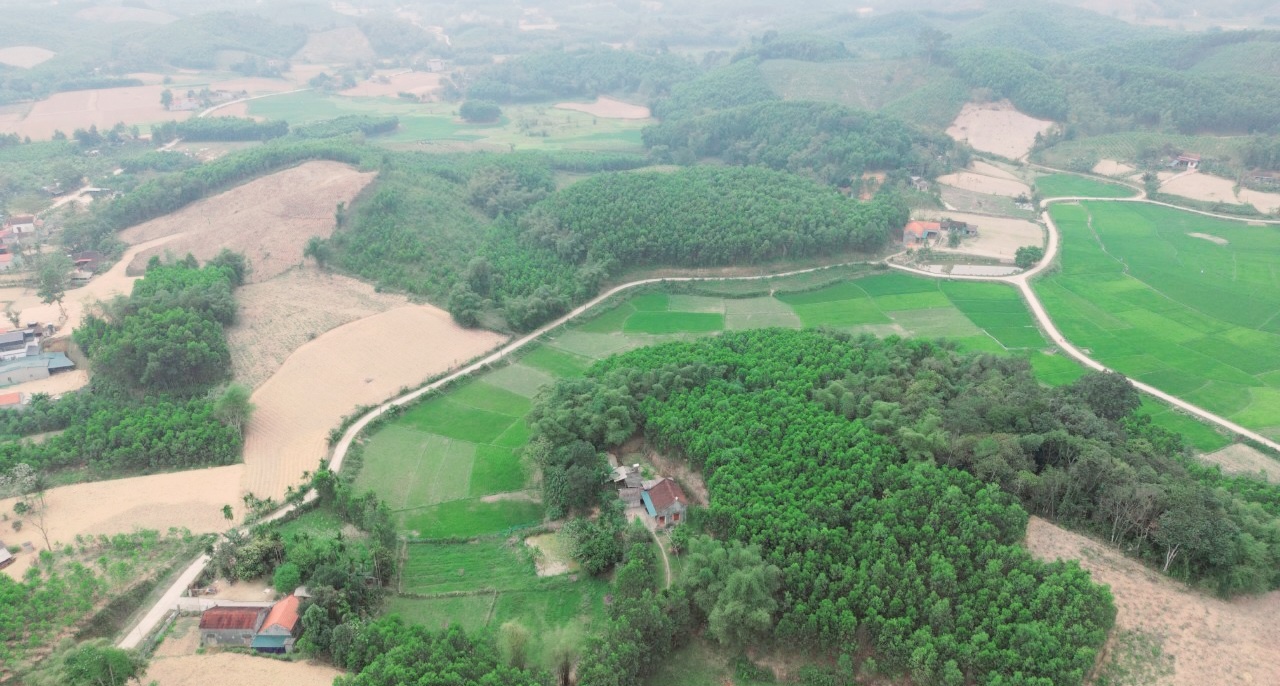 Phát triển rừng để đánh thức tiềm năng bán tín chỉ carbon tại Thanh Hóa