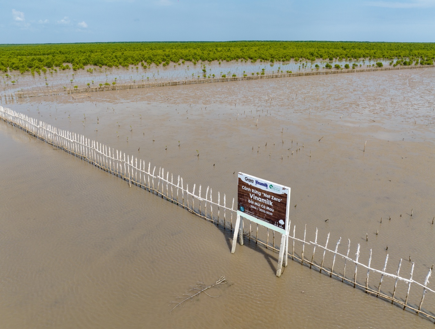 25ha cánh rừng Net Zero Cà Mau: tái sinh từ sức sống diệu kì