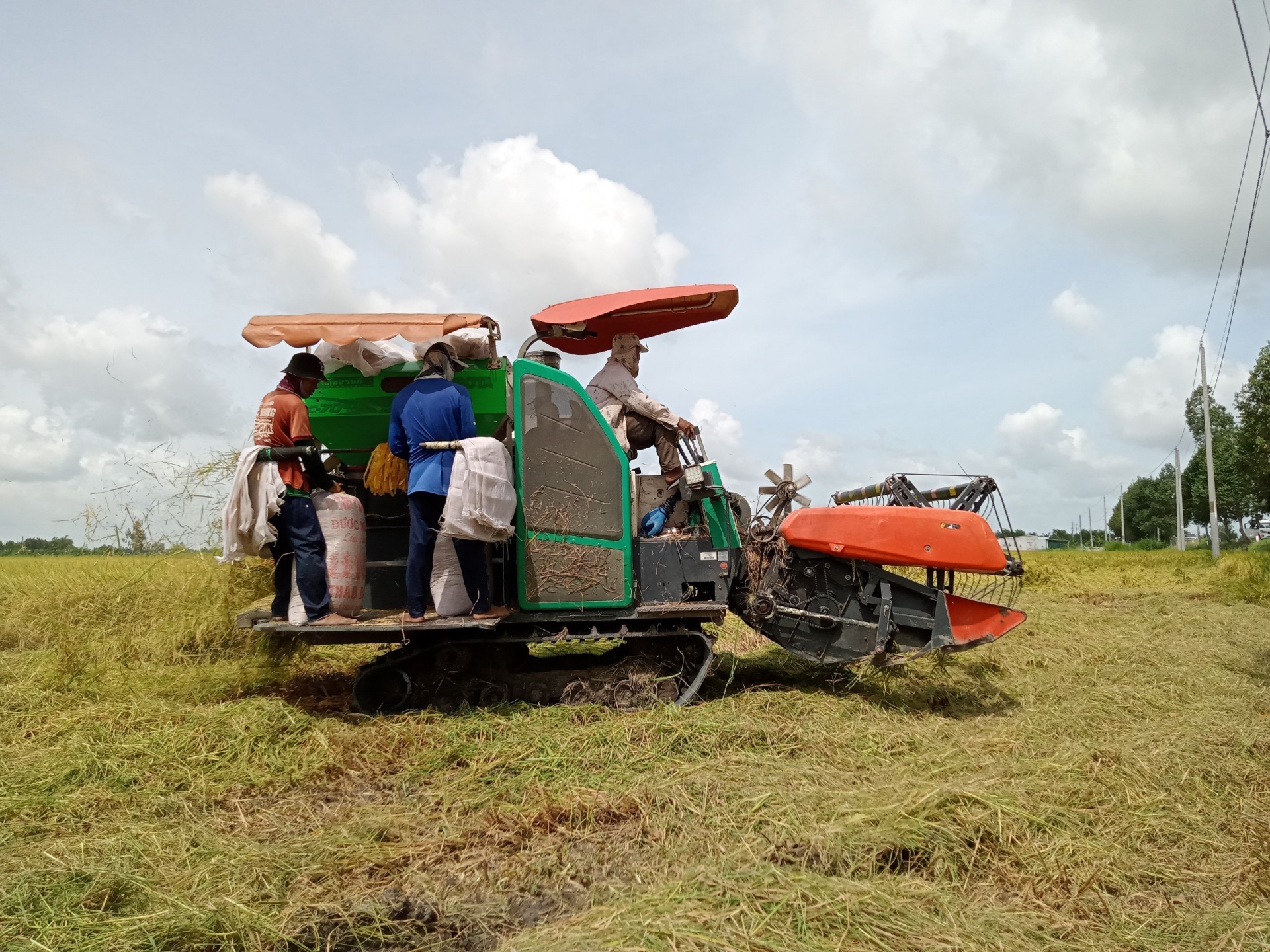 Kinh tế tuần hoàn cơ hội cho ngành hàng lúa Việt Nam