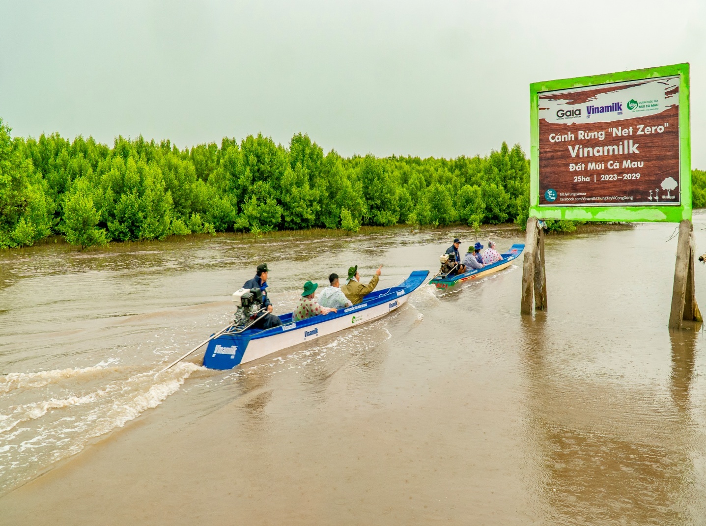25ha cánh rừng Net Zero Cà Mau: tái sinh từ sức sống diệu kì