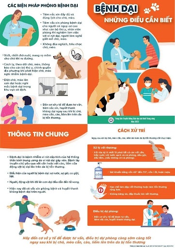 Chỉ có một cách duy nhất cứu người bị chó mèo dại cắn Chỉ có một cách duy nhất cứu người bị chó mèo dại cắn