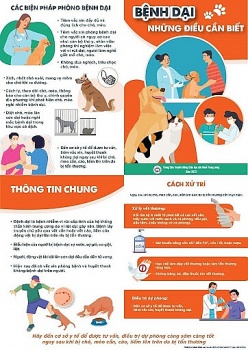 chi co mot cach duy nhat cuu nguoi bi cho meo dai can